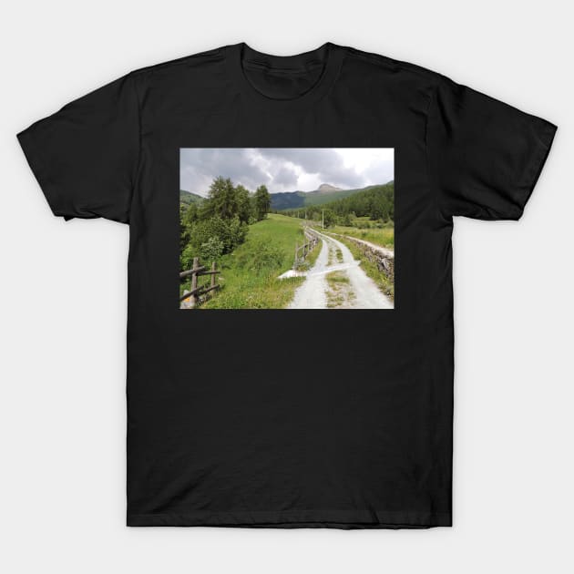 The Path To Lake Lod T-Shirt by AlexaZari